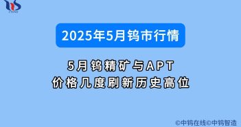 2025年5月鎢精礦與APT價格幾度刷新歷史高位 2025年5月鎢價行情如何
