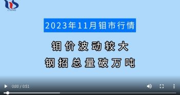 2023年11月鉬市行情 2023年11月鉬市行情圖片