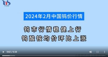 2024年2月中國鎢價(jià)行情