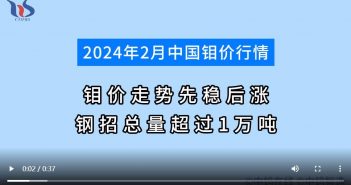 2024年2月中國鉬價(jià)行情