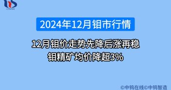 2024年12月鉬價行情