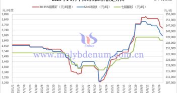 2025年1-6月中國鉬制品價(jià)格走勢